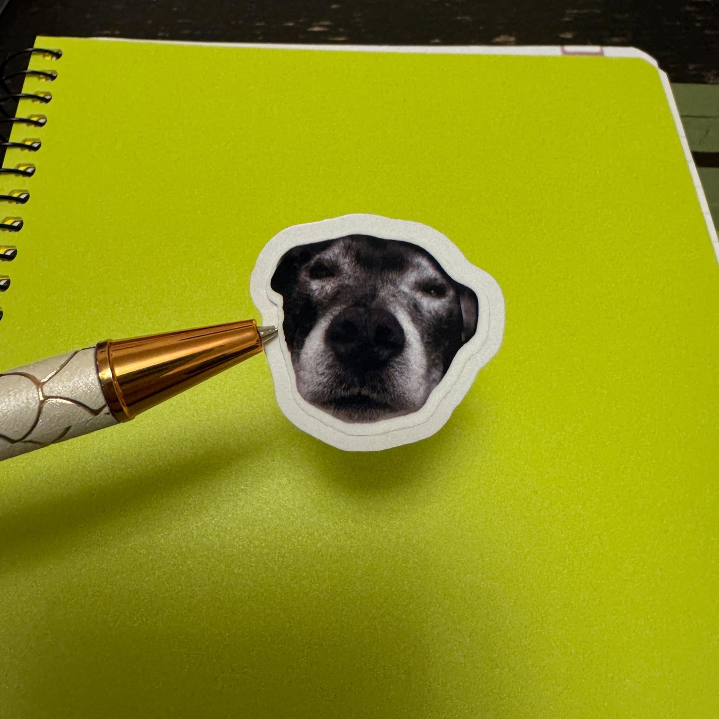 Custom Pet Die Cut Vinyl Sticker