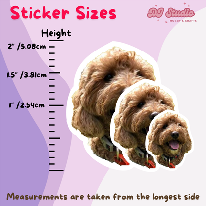 Custom Pet Die Cut Vinyl Sticker